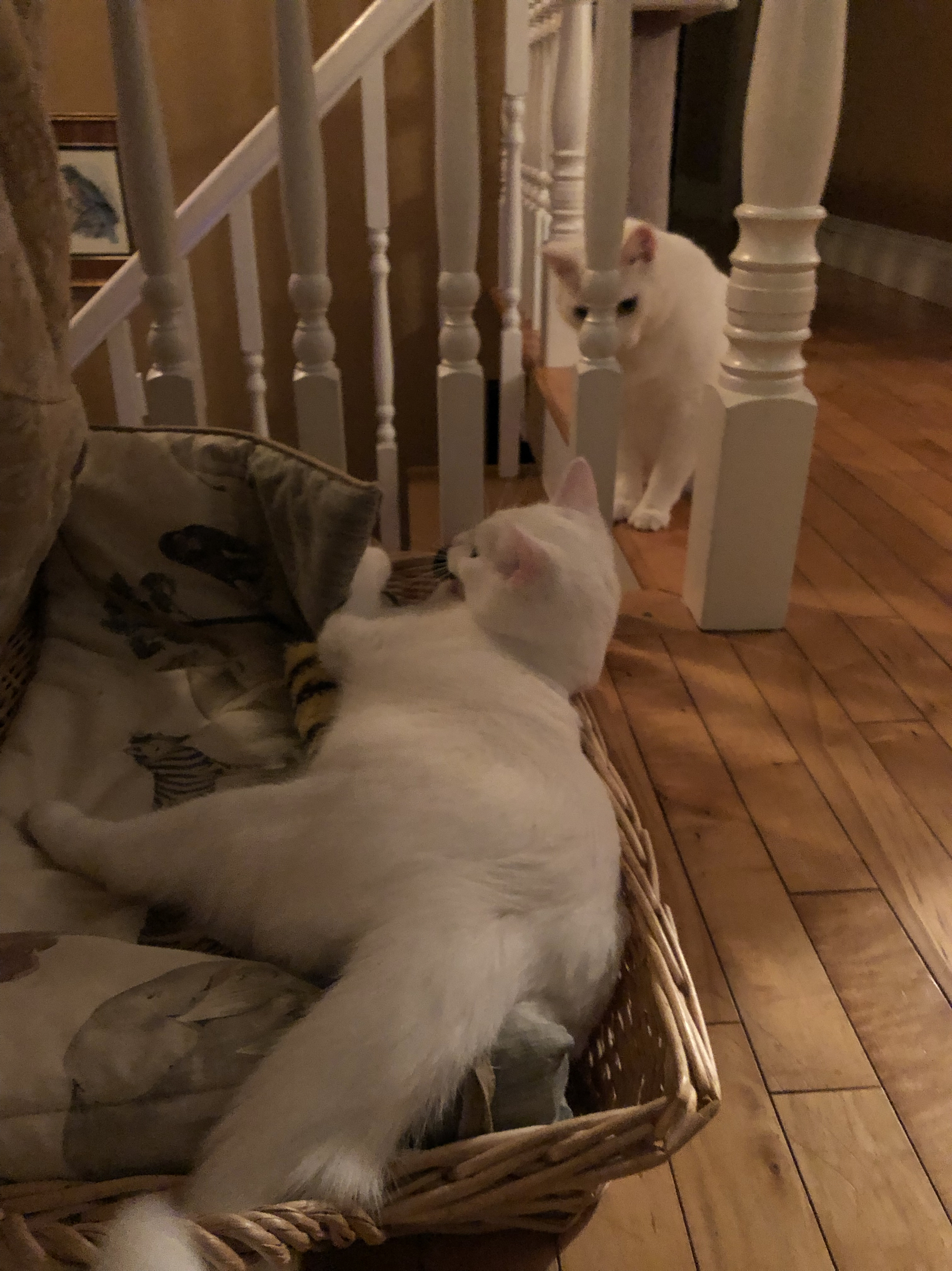 midnight meeting on the stairs