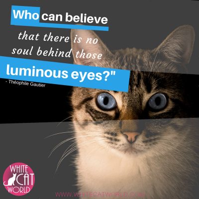 Who can believe that there is no soul behind those luminous eyes?" - Théophile Gautier