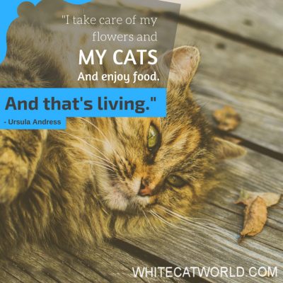 "I take care of my flowers and my cats. And enjoy food. And that's living." - Ursula Andress
