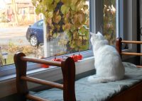 Our Cats Love The Cat House