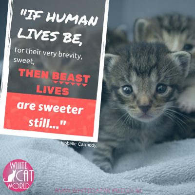 “If human lives be, for their very brevity, sweet, then beast lives are sweeter still...” - Isobelle Carmody
