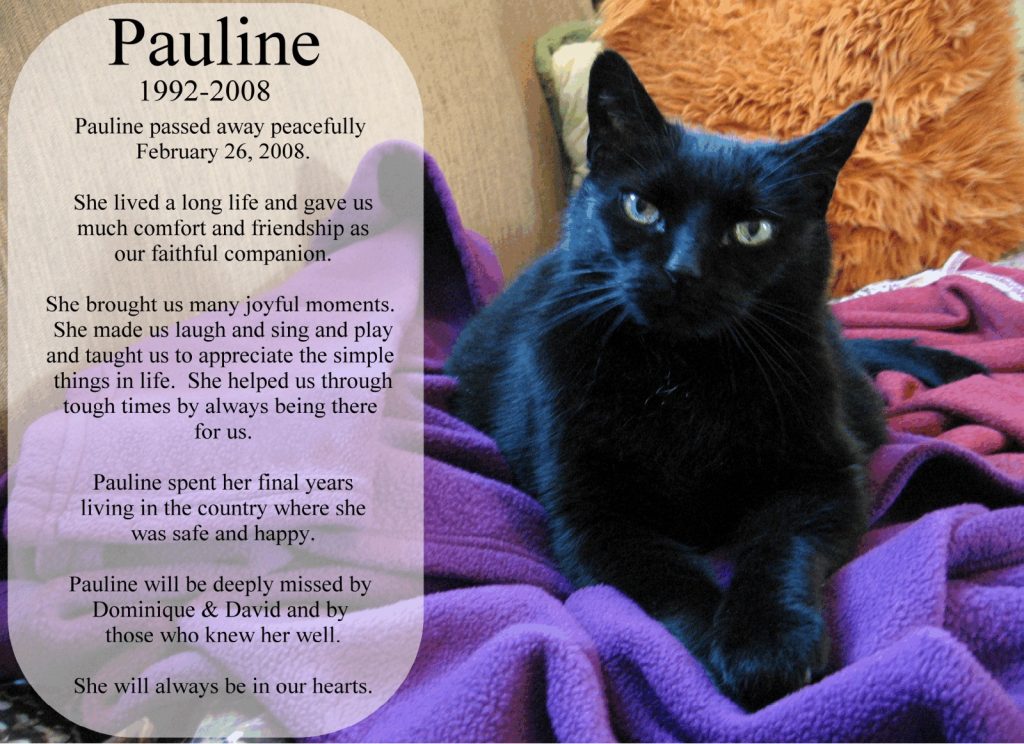 Pauline was a black beauty, a dark creature with many burdens to bear. She was loved and cherished and was a dear friend for many years. Rest in Peace dear Pauline.