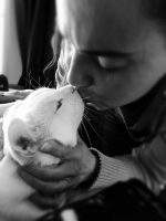 THE LAST ACT OF COMPASSION