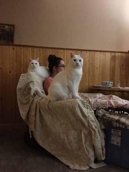 Casper approaching