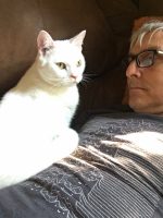 White Cat Angle