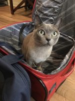 Casper approaching