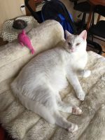 Casper approaching